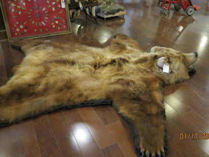 GRIZZLY BEAR RUG -EXCELLENT CONDITION: RUG