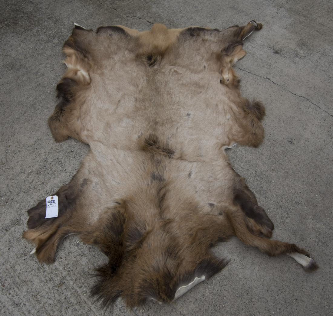 ELK HIDE