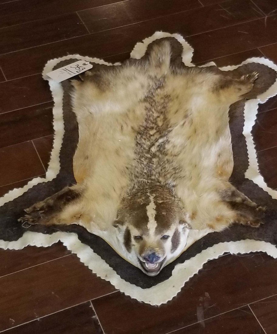 BADGER RUG: BADGER RUG