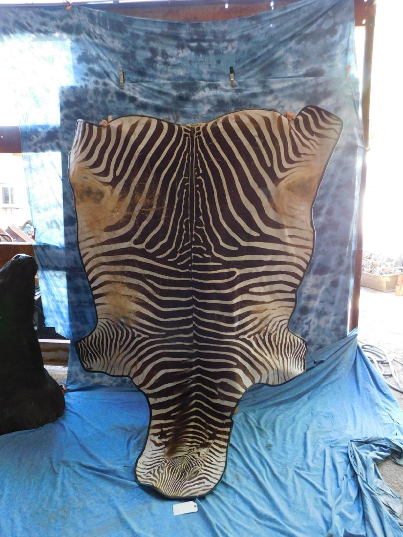 ZEBRA HIDE