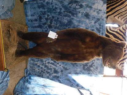 9' HUGE BROWN BEAR STANDING ON REAR LEGS: 9' HUGE BROWN BEAR STANDING ON REAR LEGS