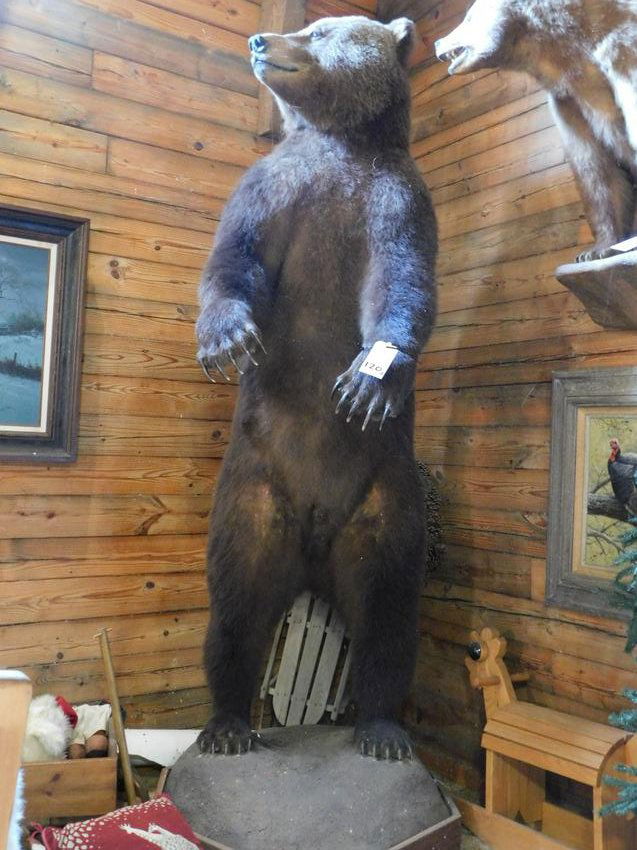 8 1/2 FT BROWN BEAR FB (1 of 1)