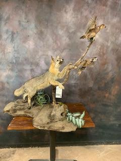 FB FOX W/QUAIL (1 of 1)