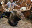 XL MOOSE MT