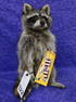 RACCOON W/M&M'S