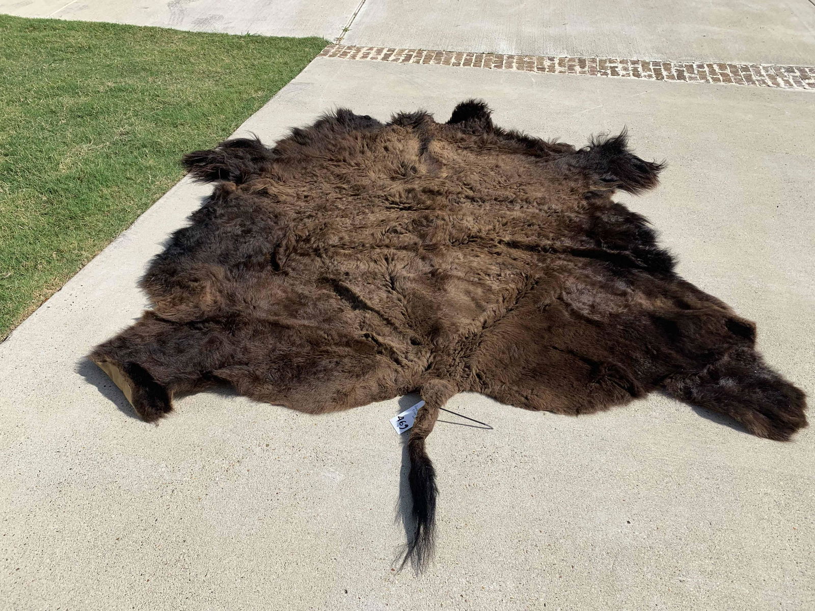 LARGE BUFFALO HIDE (1 of 1)