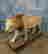 item-76502051=3