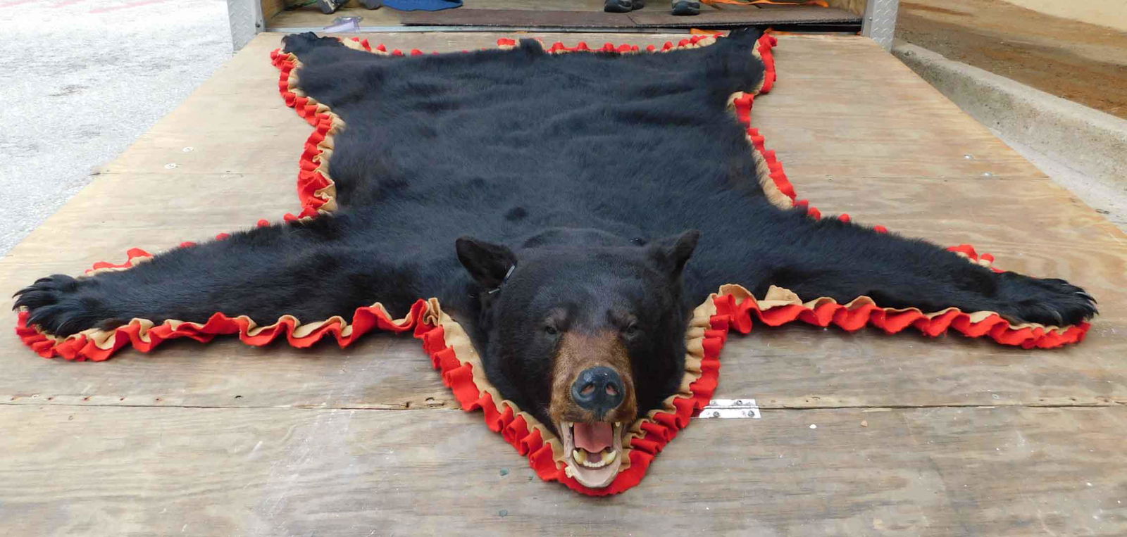 BLACK BEAR RUG (1 of 3)