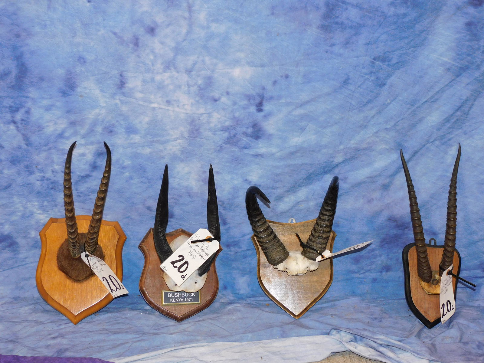 4 SETS OF AFRICAN ANTELOPE HORNS ON PLAQUES (4x$) (1 of 2)