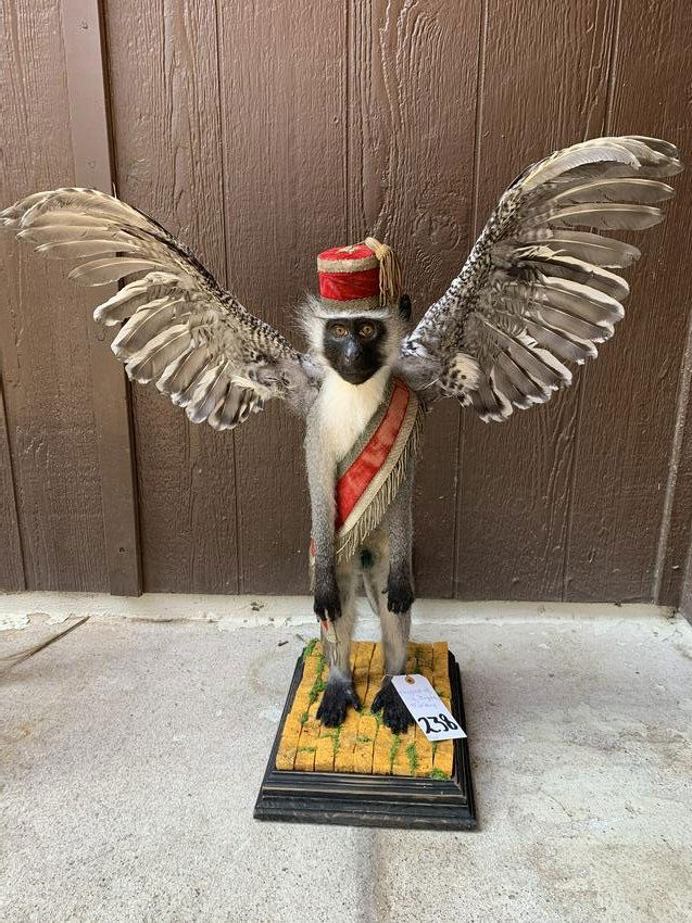 WIZARD OF OZ FLYING MONKEY (1 of 4)