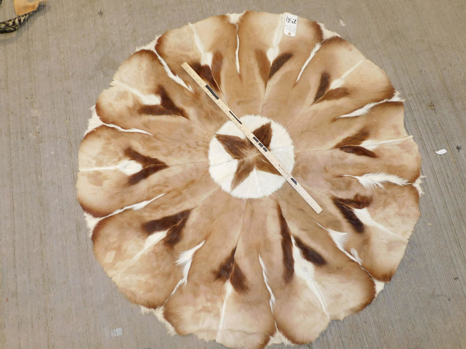 ROUND SPRINGBOK TAPESTRY W/10 HIDES (1 of 2)