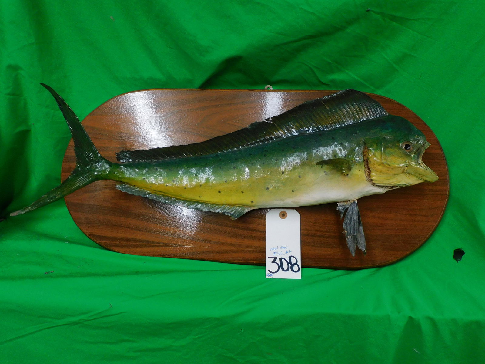MAHI MAHI FISH MT (1 of 3)