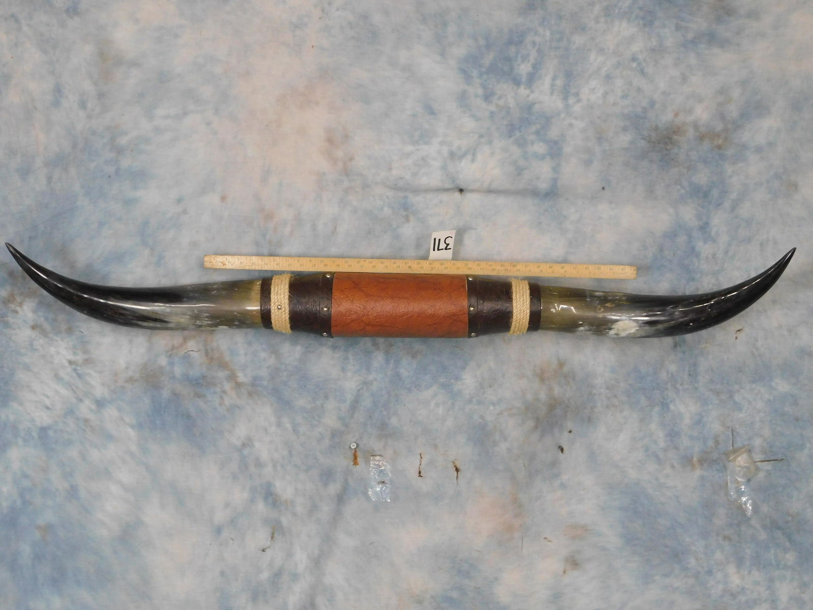 XL STEER HORNS (1 of 1)