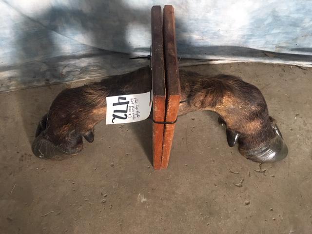 PAIR OF CAPE BUFFALO HOOF BOOKENDS (ONE$): .