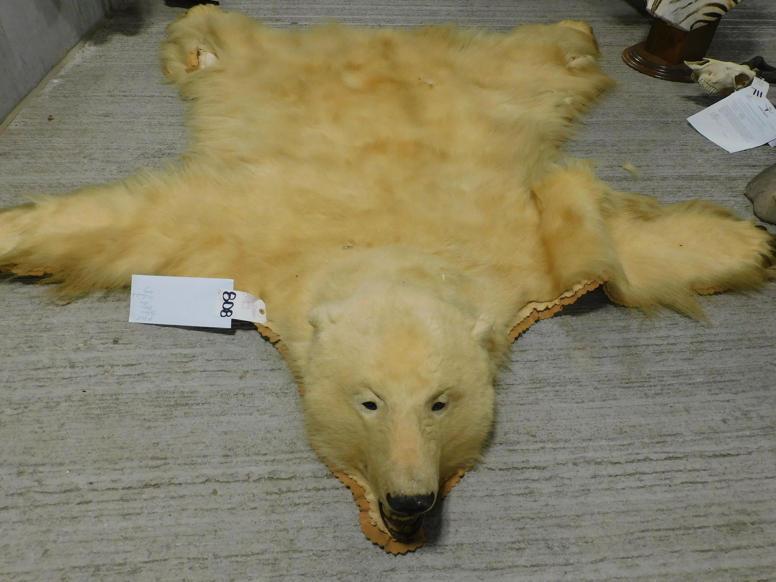 HUMAN MADE POLAR BEAR RUG ラグ　国内正規品 HUMAN MADE POLAR BEAR RUG – unexpected store