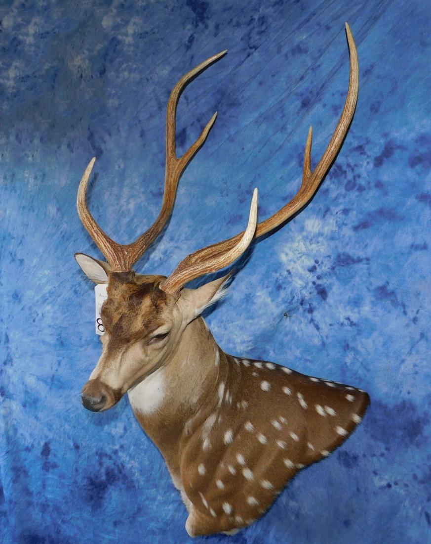 AXIS WALL PEDESTAL (1 of 2)