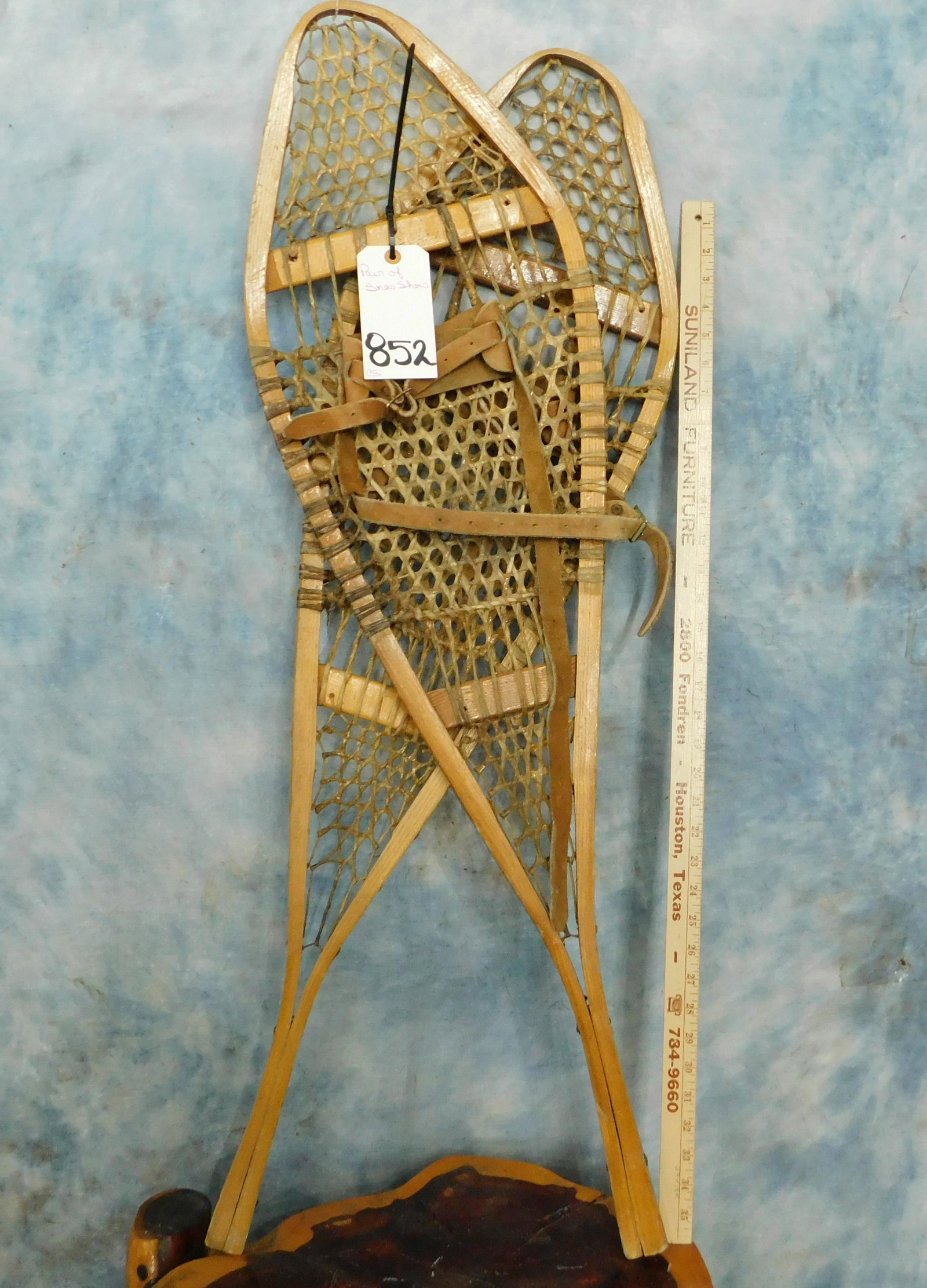 PAIR OF SNOWSHOES (1 of 1)