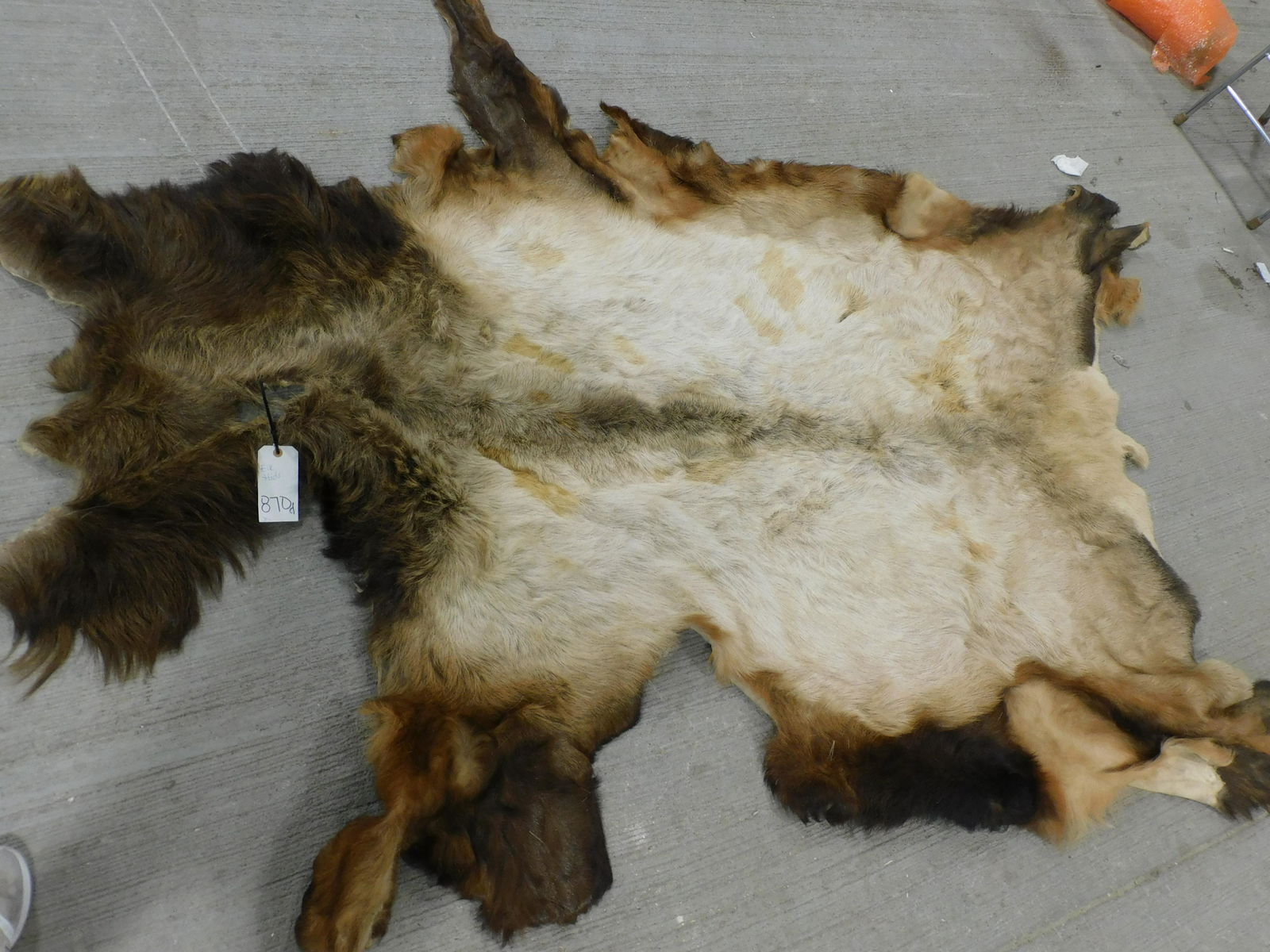 ELK HIDE (1 of 1)
