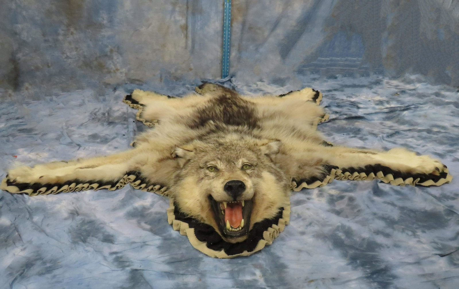 WOLF RUG W/MOUNTED HEAD: TAXIDERMY