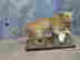 item-91743056=2