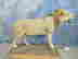 item-91743225=3