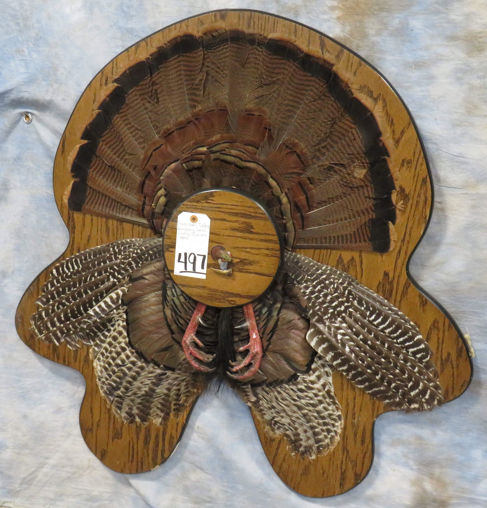 AWESOME TURKEY DISPLAY -TAIL, WINGS, BEARD & SPUR: TAXIDERMY