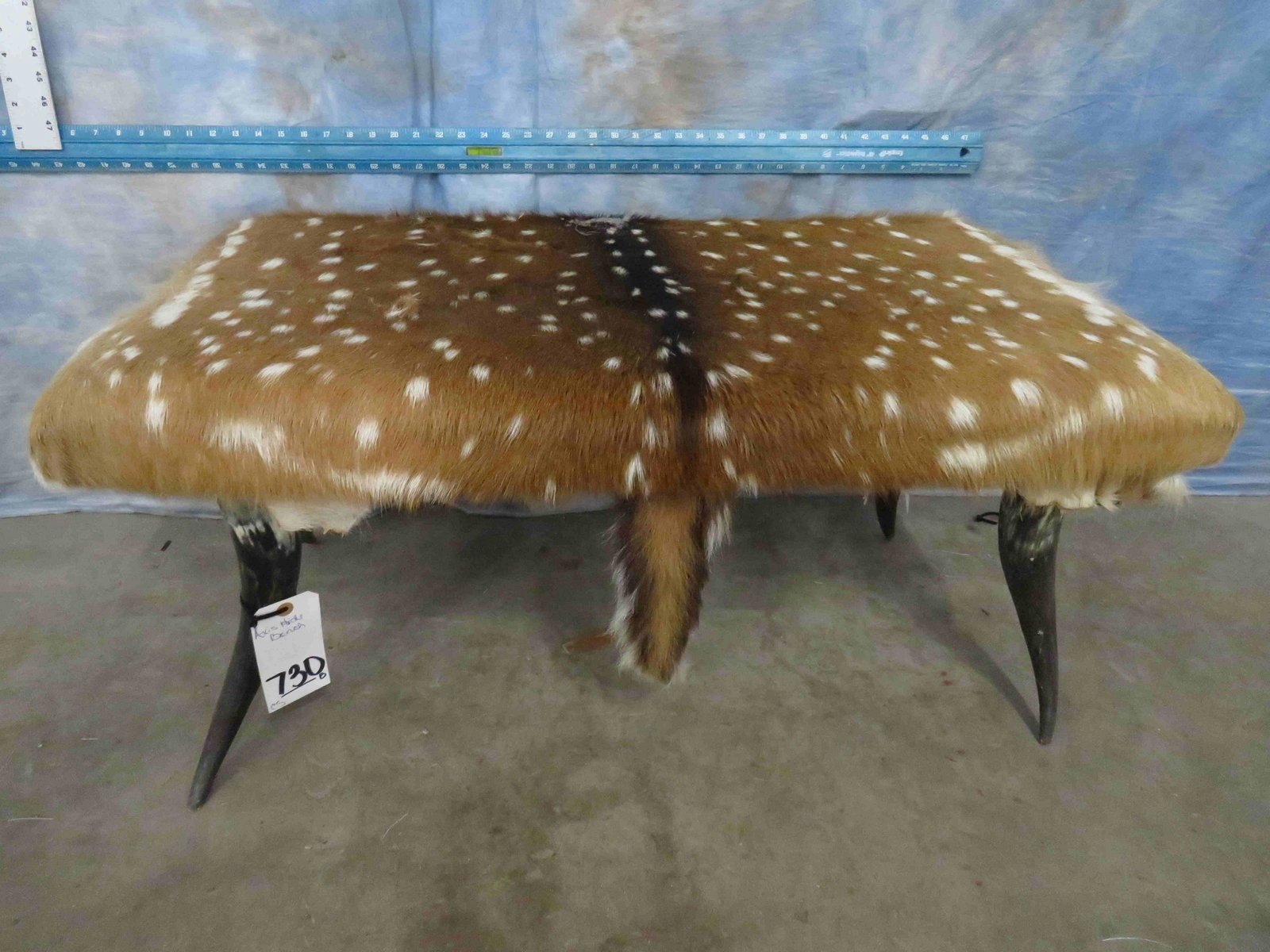 AXIS HIDE TABLE: TAXIDERMY