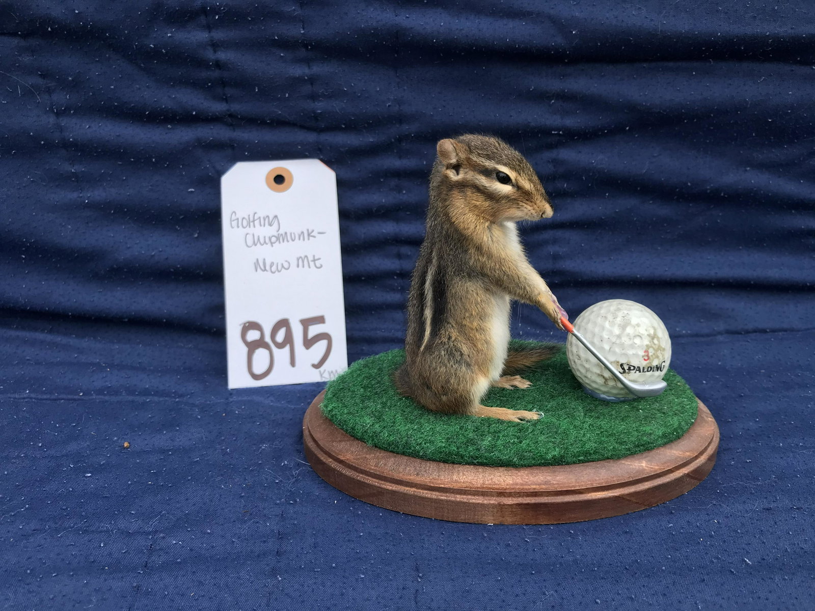 GOLFING CHIPMUNK - NEW MT TAXIDERMY: TAXIDERMY