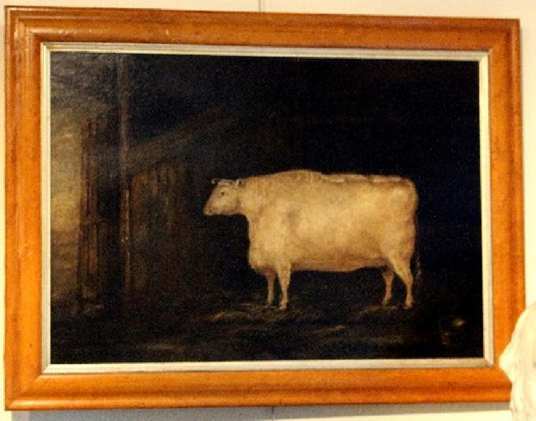 19th Century Naive English School/Shorthorn Cow in a (1 of 1)