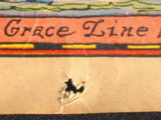 Grace Line Travel Poster - 5