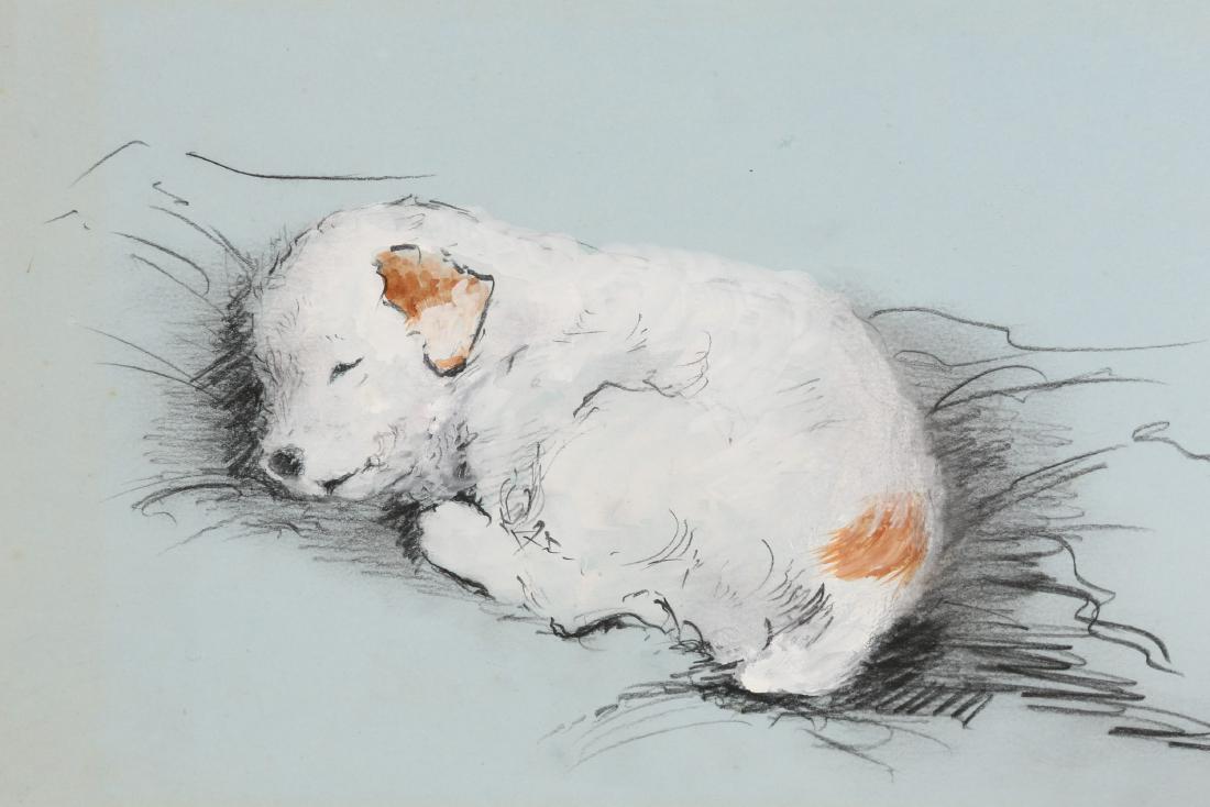 DOROTHY WRIGHT, STUDIES OF DOGS, seven works in: DOROTHY WRIGHT, STUDIES OF DOGS, seven works in watercolour, oil, pen and ink, each framed; together with a watercolour of the artist as a child, oval, framed. (8)
