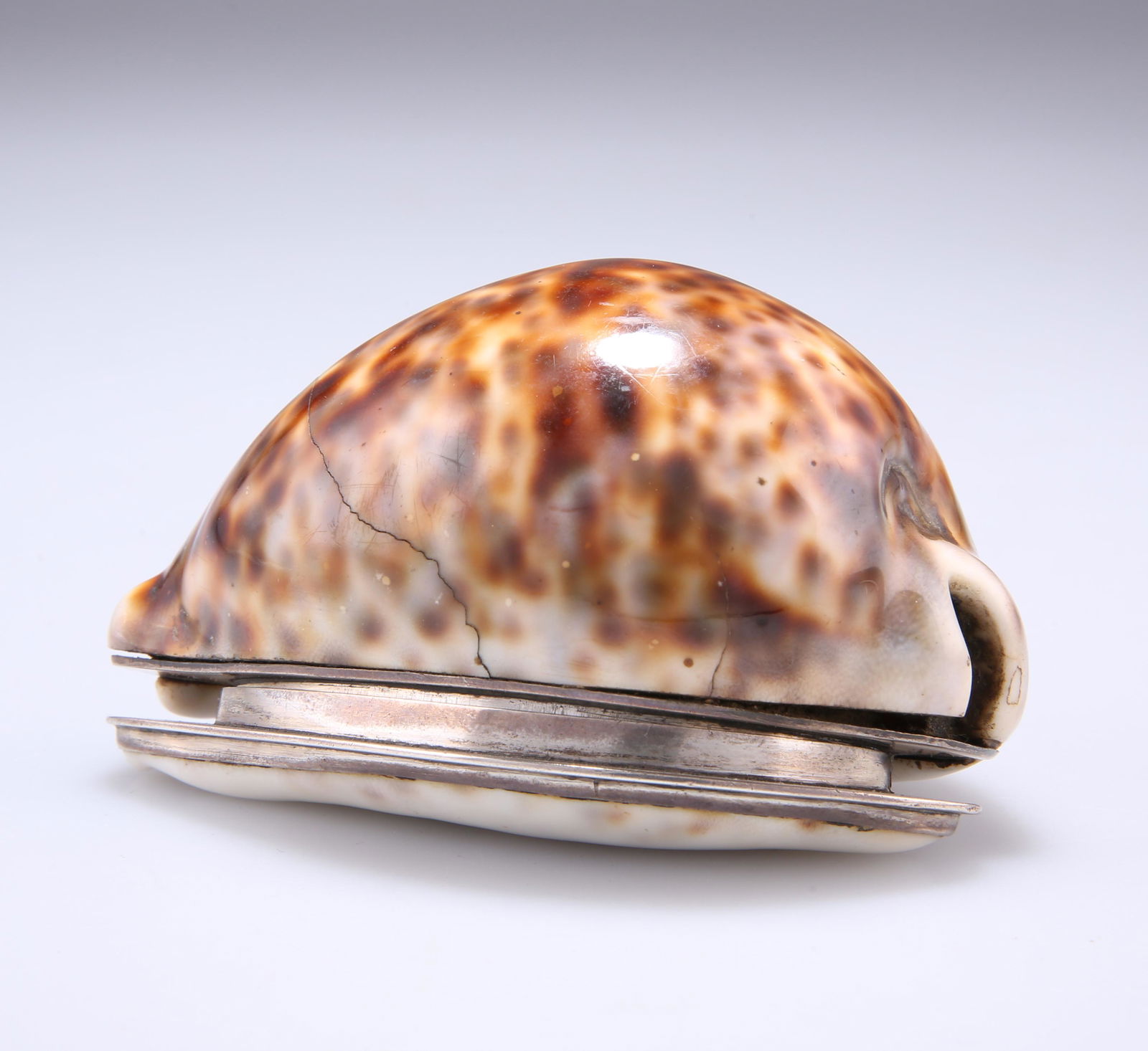 A GEORGE III SILVER AND COWRIE SHELL SNUFF, LATE 18TH (1 of 3)
