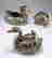item-113819862=4
