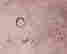 item-131800844=2