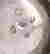 item-131800845=2