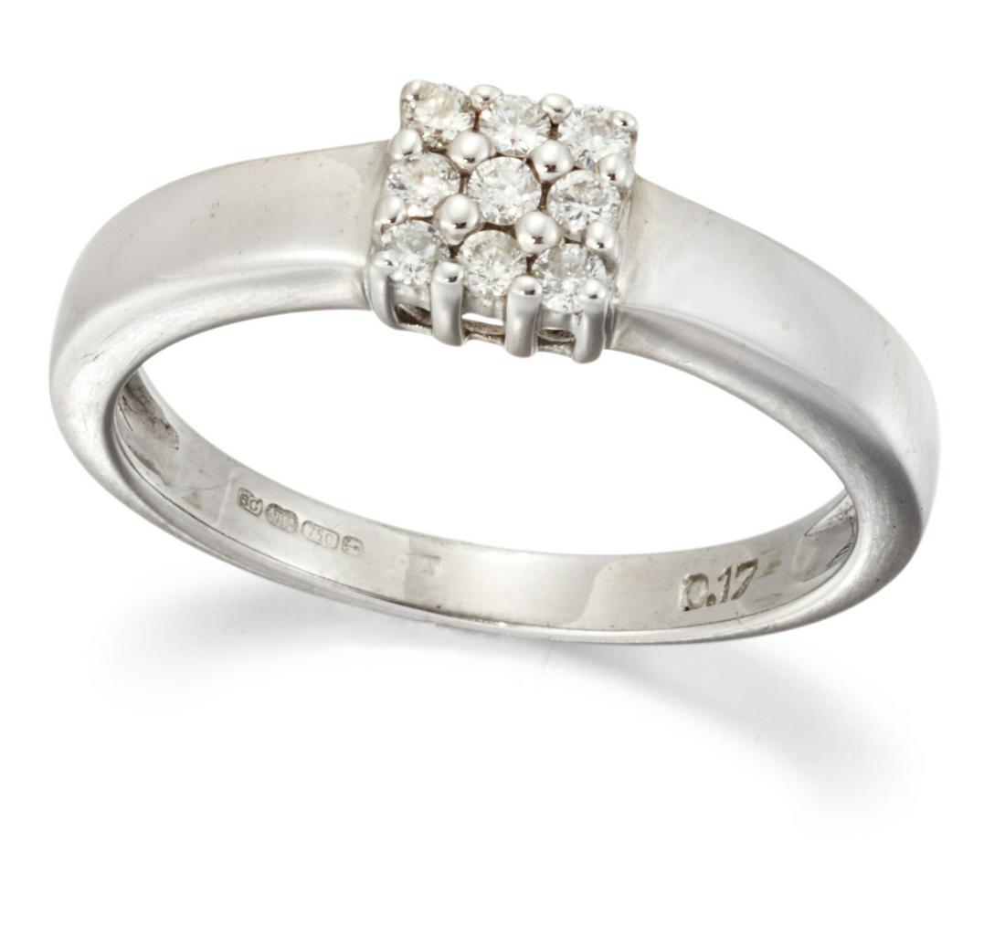 AN 18 CARAT WHITE GOLD DIAMOND CLUSTER RING (1 of 1)