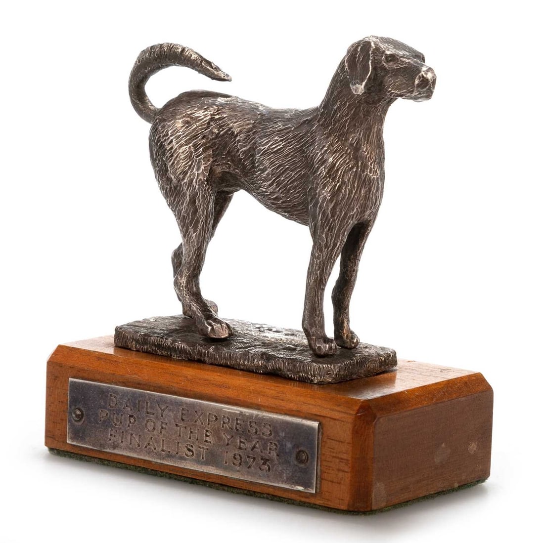 AN ELIZABETH II SILVER MODEL OF A DOG: AN ELIZABETH II SILVER MODEL OF A DOG by S M D Castings, town and date mark indistinct, cast standing on a naturalistic base, on a wooden plinth with a plaque inscribed DAILY EXPRESS PUP OF THE YEAR F