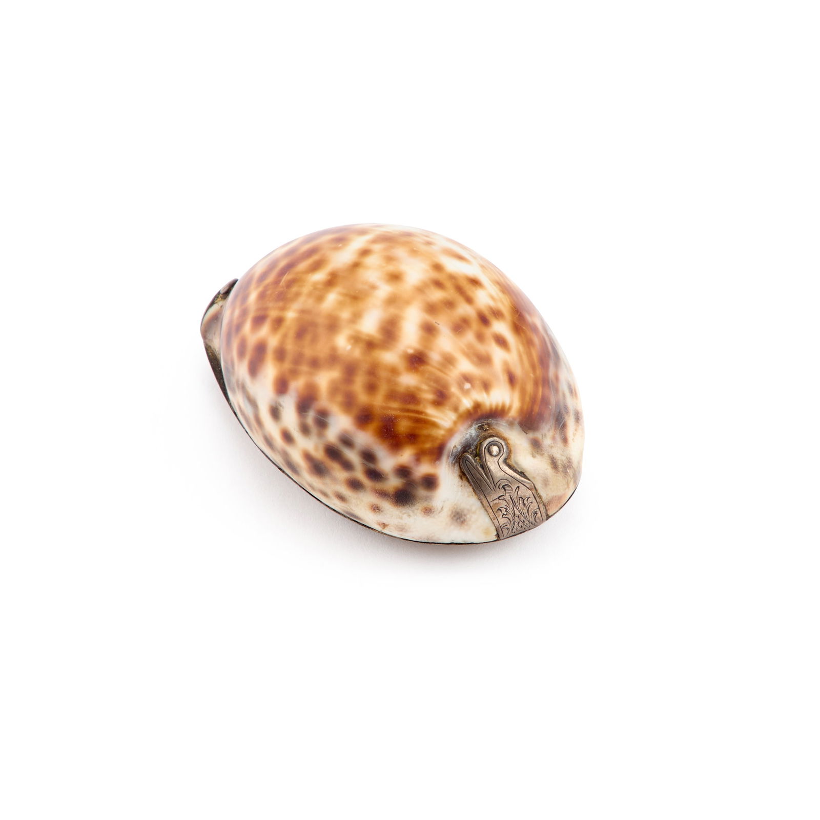 AN 18TH CENTURY SILVER-MOUNTED COWRIE SHELL SNUFF BOX (1 of 4)