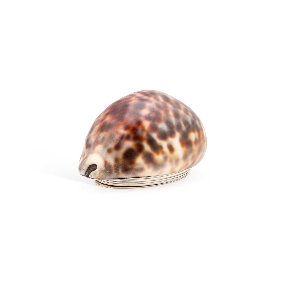 A GEORGE III SCOTTISH PROVINCIAL SILVER COWRIE SHELL SNUFF BOX (1 of 4)