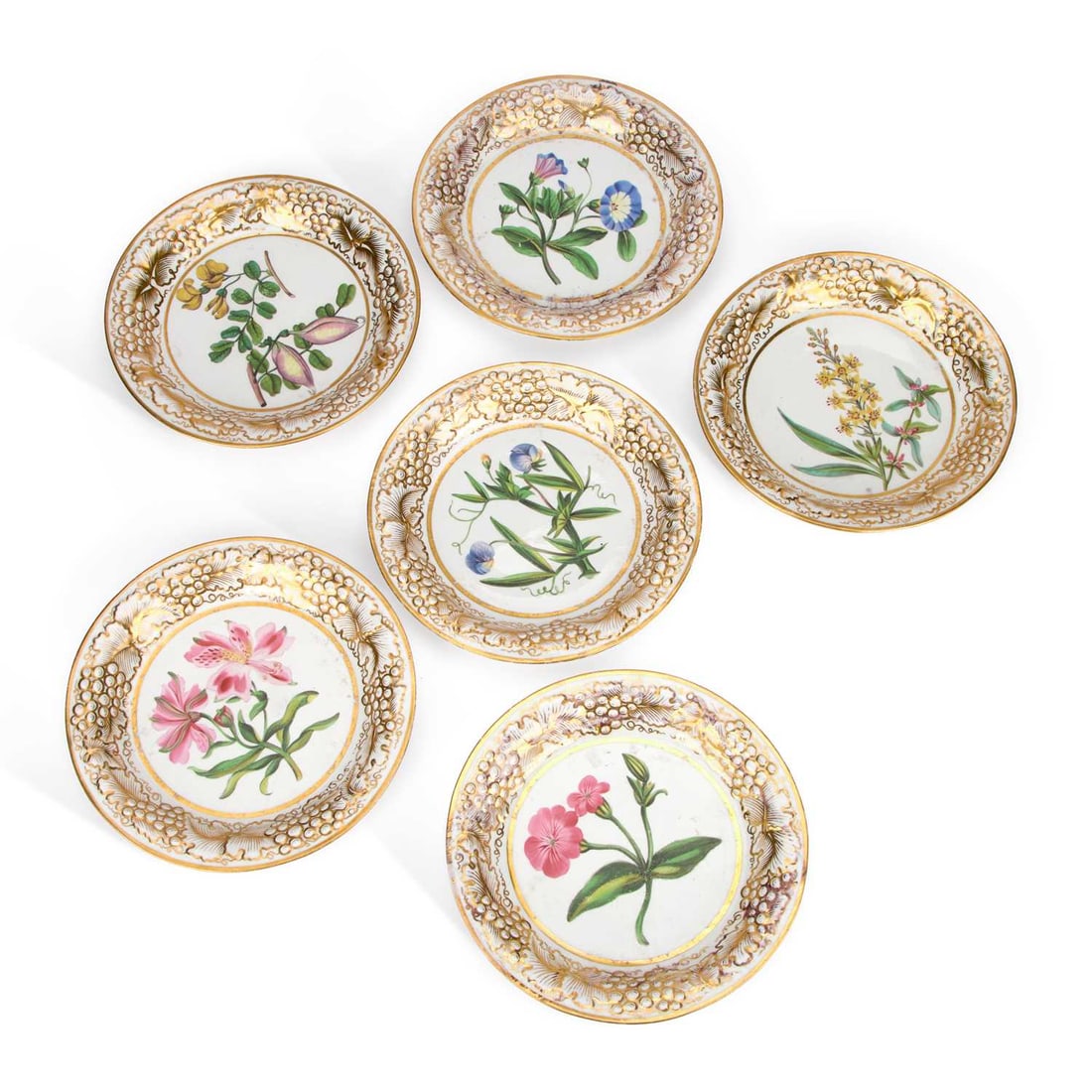 A SET OF SIX 19TH CENTURY BOTANICAL PLATES (1 of 2)