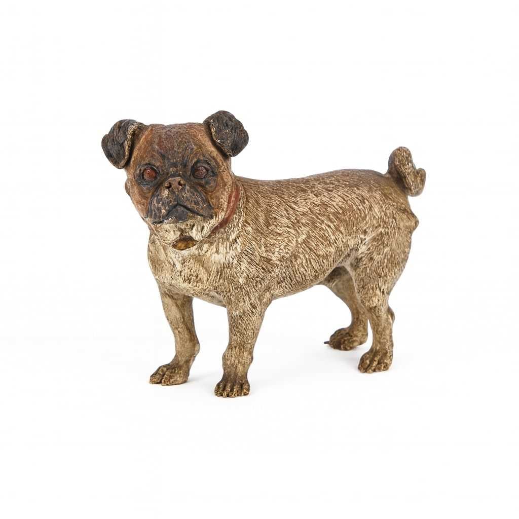 AN AUSTRIAN COLD-PAINTED BRONZE PUG LATE 19TH CENTURY (1 of 1)