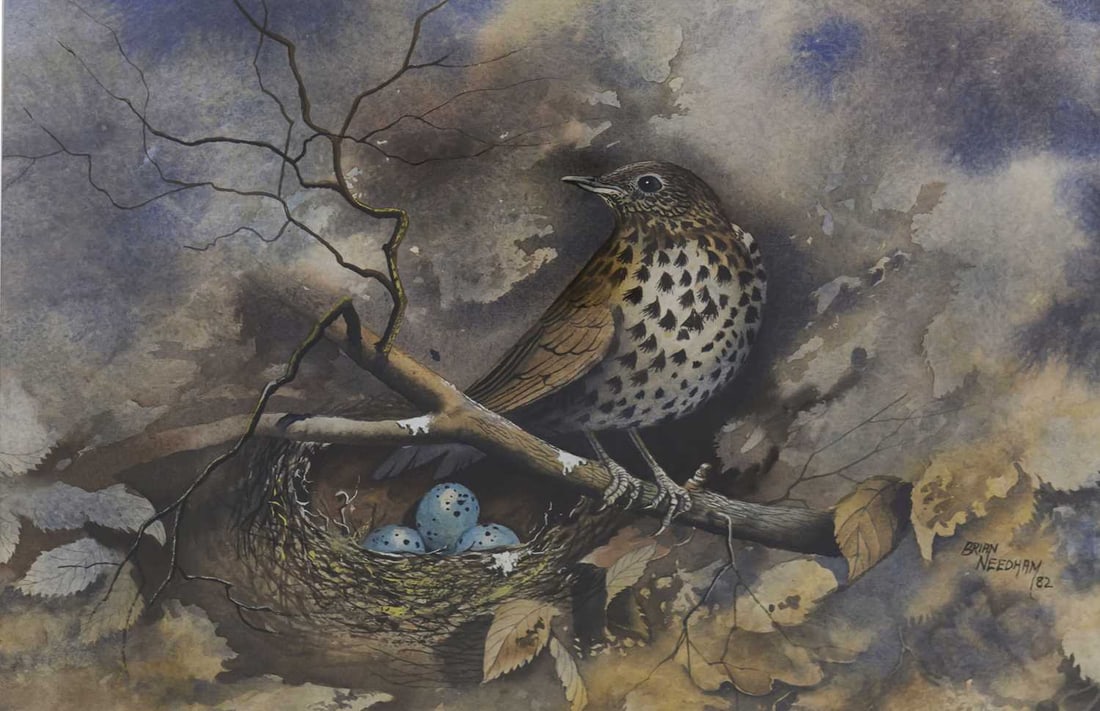 ‡ BRIAN NEEDHAM (1937-2006) THRUSH NEST WITH EGGS (1 of 2)