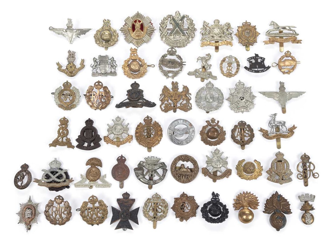 A COLLECTION OF MILITARY CAP BADGES (1 of 1)