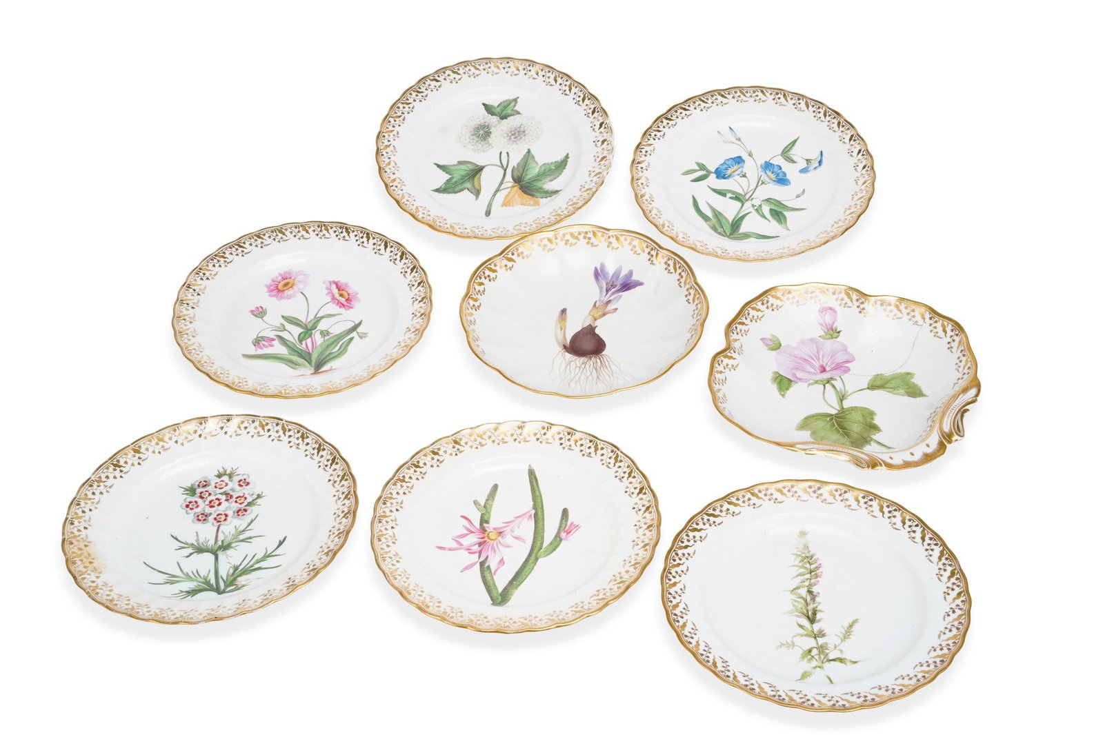 A DERBY BOTANICAL PARTIAL DESSERT SERVICE CIRCA 1790: each painted with a named botanical specimen within a border of gilt foliage, comprising six plates and two shaped dishes, the reverses titled in blue script Vernal Bulbocodium, Lavatera Trimestris