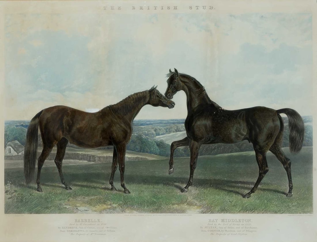 AFTER JOHN FREDERICK HERRING (1795-1865) TWO WORKS: THE BRITISH STUD, 'BARBELLE & BAY MIDDLETON' (1 of 4)
