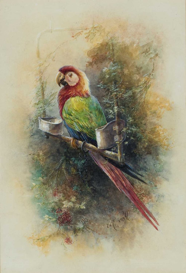 WILLIAM EDWARD POWELL (1878-1955) A MACAW ON ITS PERCH (1 of 2)