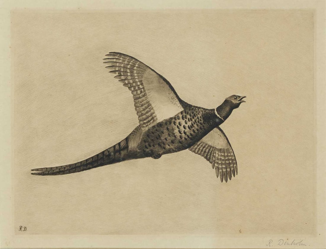 ROBERT DENHOLM (FL 1897-1927) SEVEN ETCHINGS OF GAME BIRDS IN FLIGHT: All initialled in the etching and signed in pencil Etchings (Largest: 25cm x 37cm) Qty: (7)