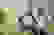 item-97998208=2