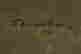 item-68413876=3