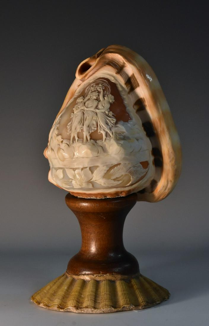 A Grand Tour cameo conch shell, carved in shallow with: A Grand Tour cameo conch shell, carved in shallow with the Three Graces, after the Antique, mounted on a turned mahogany socle and scallop shell base, 21cm high